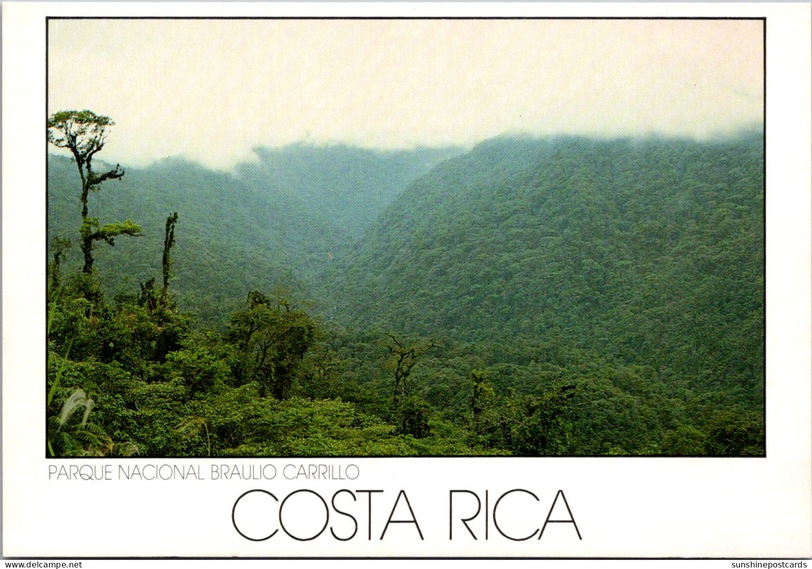 Costa Rica Parque Nacional Braulio Carrillo - Costa Rica