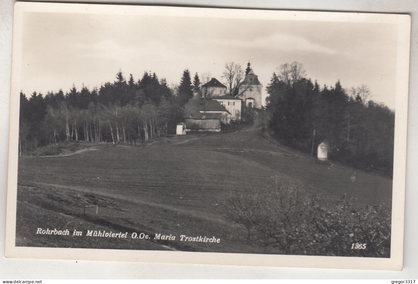 C7097) ROHRBACH Im Mühlviertel - OÖ - Maria Trostkirche - - Rohrbach