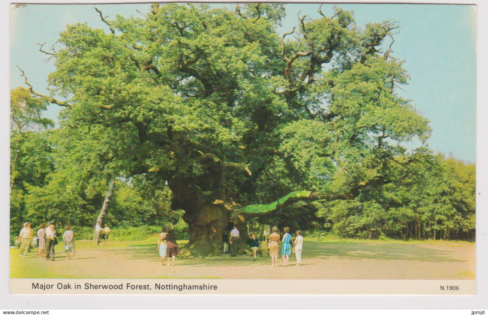 NOTTINGHAMSHIRE - MAJOR OAK IN SHERWOOD FOREST - Age 1500 - Publ. DENNIS & SONS Ltd N.1906 - Sonstige & Ohne Zuordnung