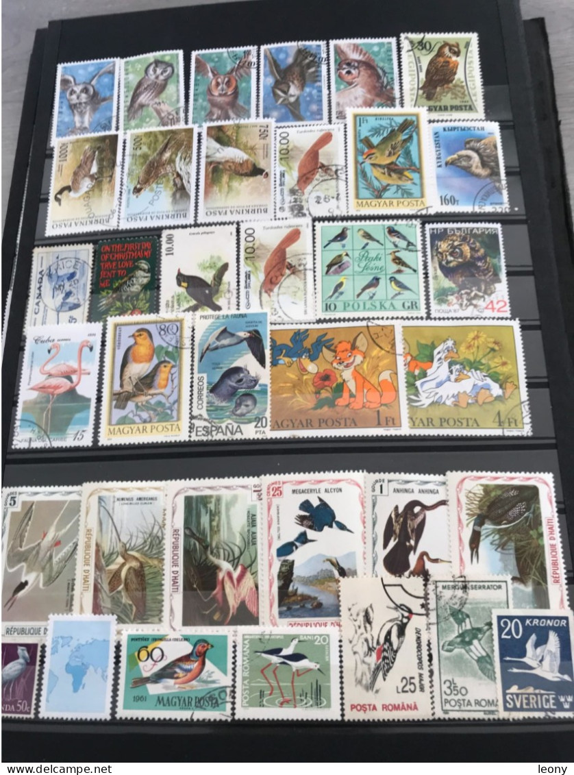 TIMBRES De DIVERS PAYS   " THEMATIQUE " - PAPILLONS - CHEVAUX - SPORTS - OISEAUX - ANIMAUX DIVERS..  - NEUFS & OBLITERES - Vrac (max 999 Timbres)