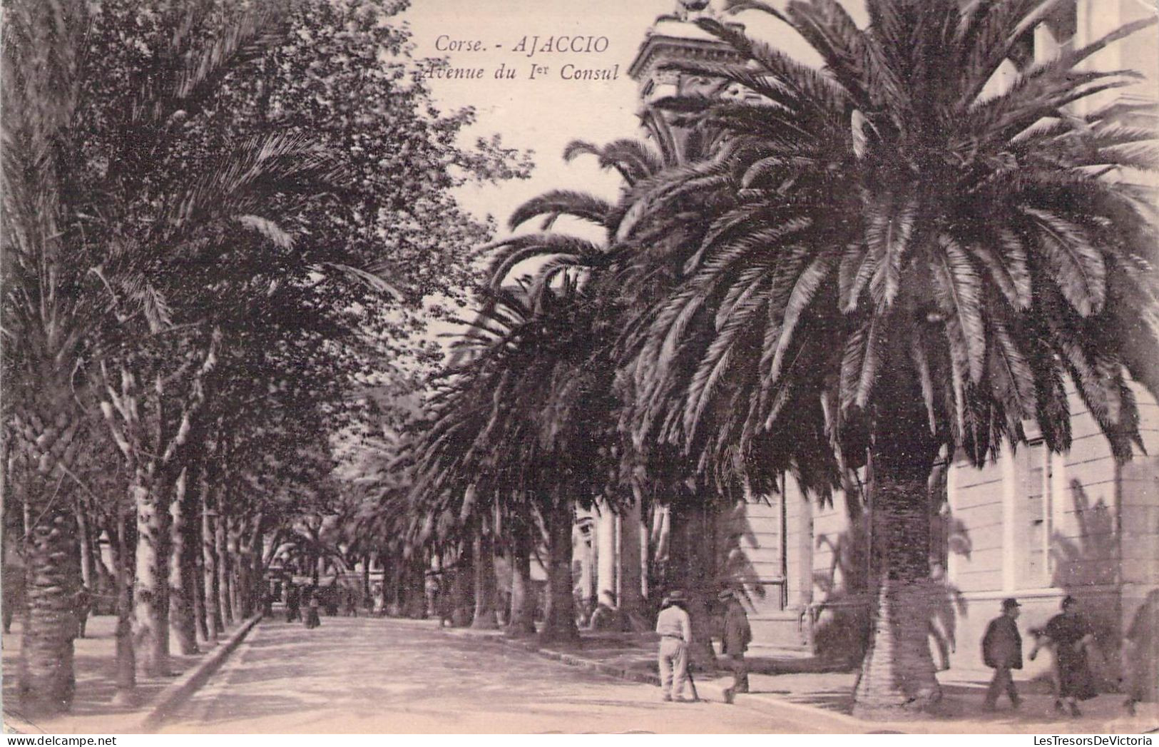 FRANCE - 20 - CORSE - AJJACCIO - Avenue Du 1er Consul - Carte Postale Ancienne - Ajaccio