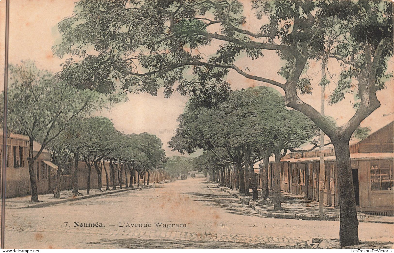 Nouvelle Calédonie - Nouméa - L'avenue Wagram - Rare - Colorisé - Carte Postale Ancienne - New Caledonia