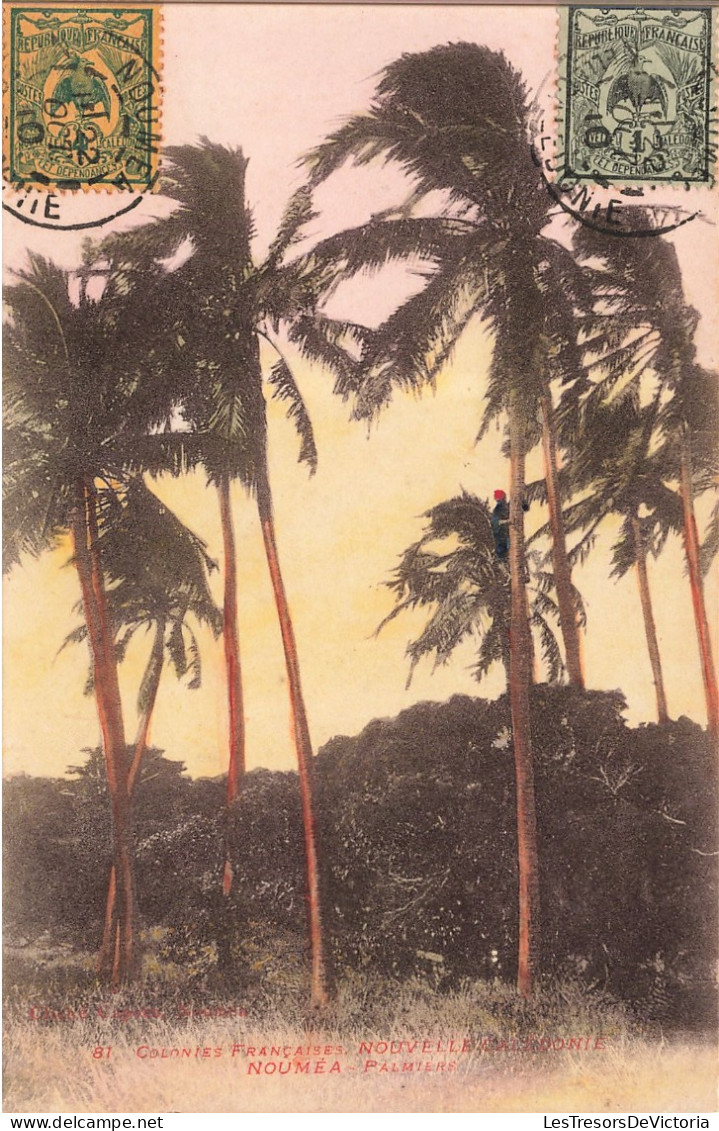 Nouvelle Calédonie - Colonie Française - Palmiers - Colorisé - Carte Postale Ancienne - Nouvelle-Calédonie