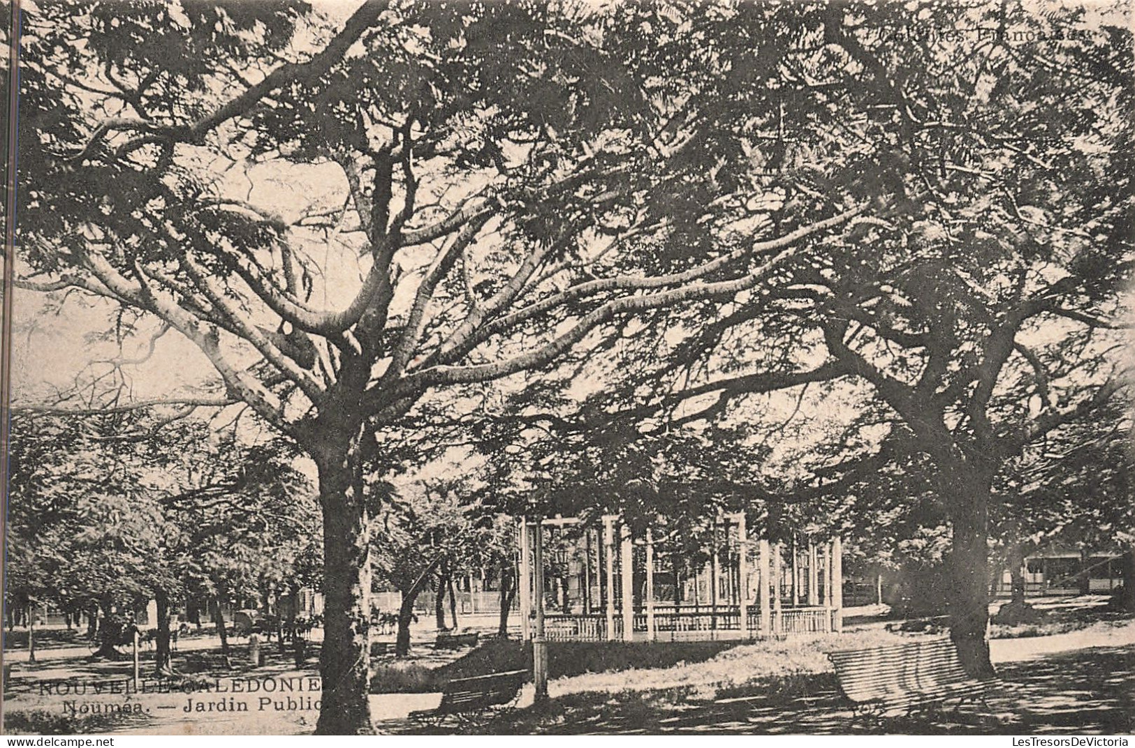 Nouvelle Calédonie - Numéa - Jardin Public  - Carte Postale Ancienne - Nouvelle-Calédonie