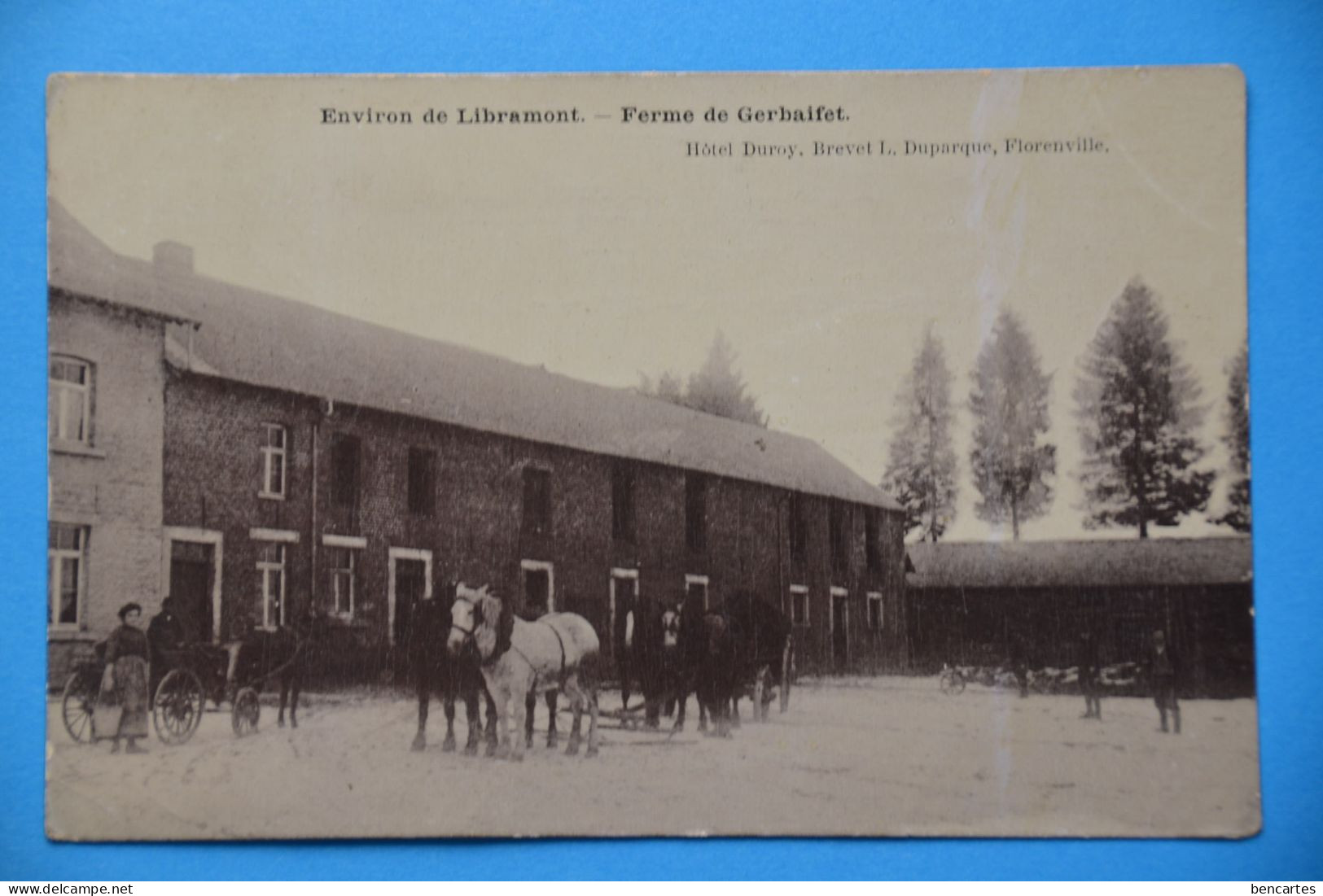 Environs De Libramont 1905: Ferme De Gerbaifet, Très Animée Avec Attelages Et Très Rare ! - Libramont-Chevigny