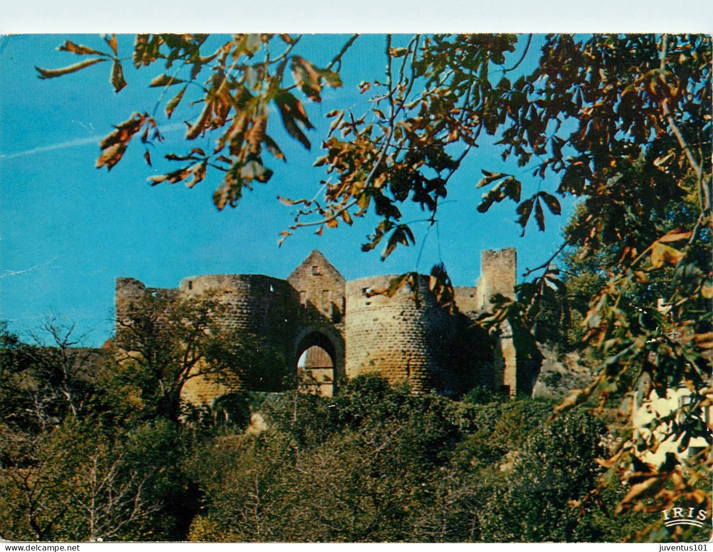 CPSM Domme-Bastide Française-La Porte Des Tours    L2172 - Domme