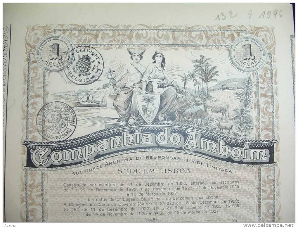 "Titulo De Uma Acçao "Companhia Do Amboin" Lisboa 1927 Lisbonne Portugal. - A - C