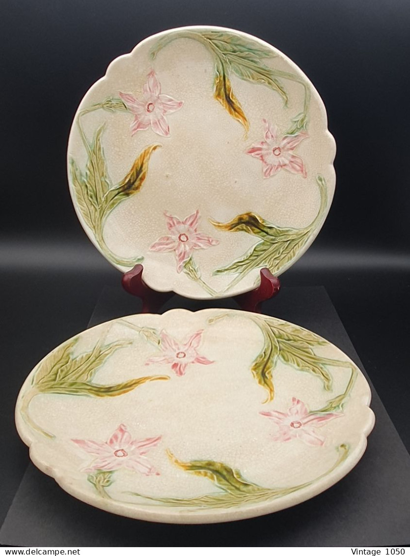 Lot De 2 Assiettes ONNAING Barbotine Majolique Narcisse Diam 21 Cm XIXe  #230409 - Onnaing (FRA)