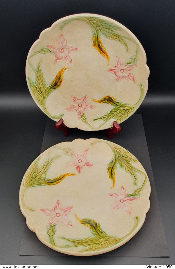 Lot De 2 Assiettes ONNAING Barbotine Majolique Narcisse Diam 21 Cm XIXe  #230409 - Onnaing (FRA)