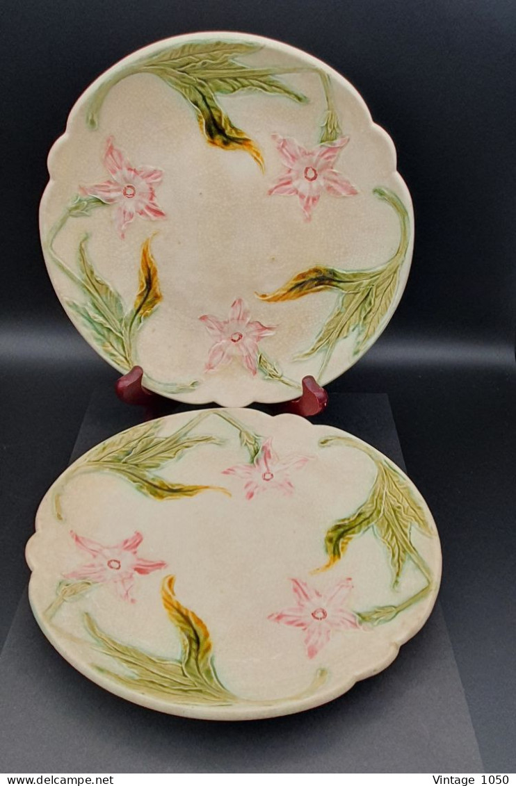 Lot de 2 assiettes ONNAING Barbotine Majolique Narcisse diam 21 cm XIXe  #230409