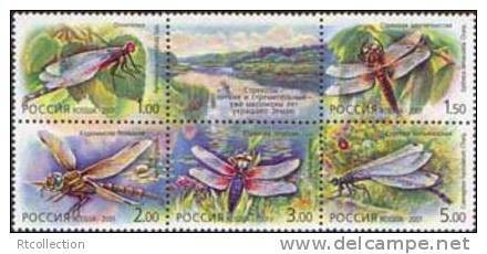 Russia 2001 Insects Animals Fauna Animal Dragon-flies Dragon Fly Files Insect Nature Mountain Stamp MNH Michel 903-907Zd - Sammlungen