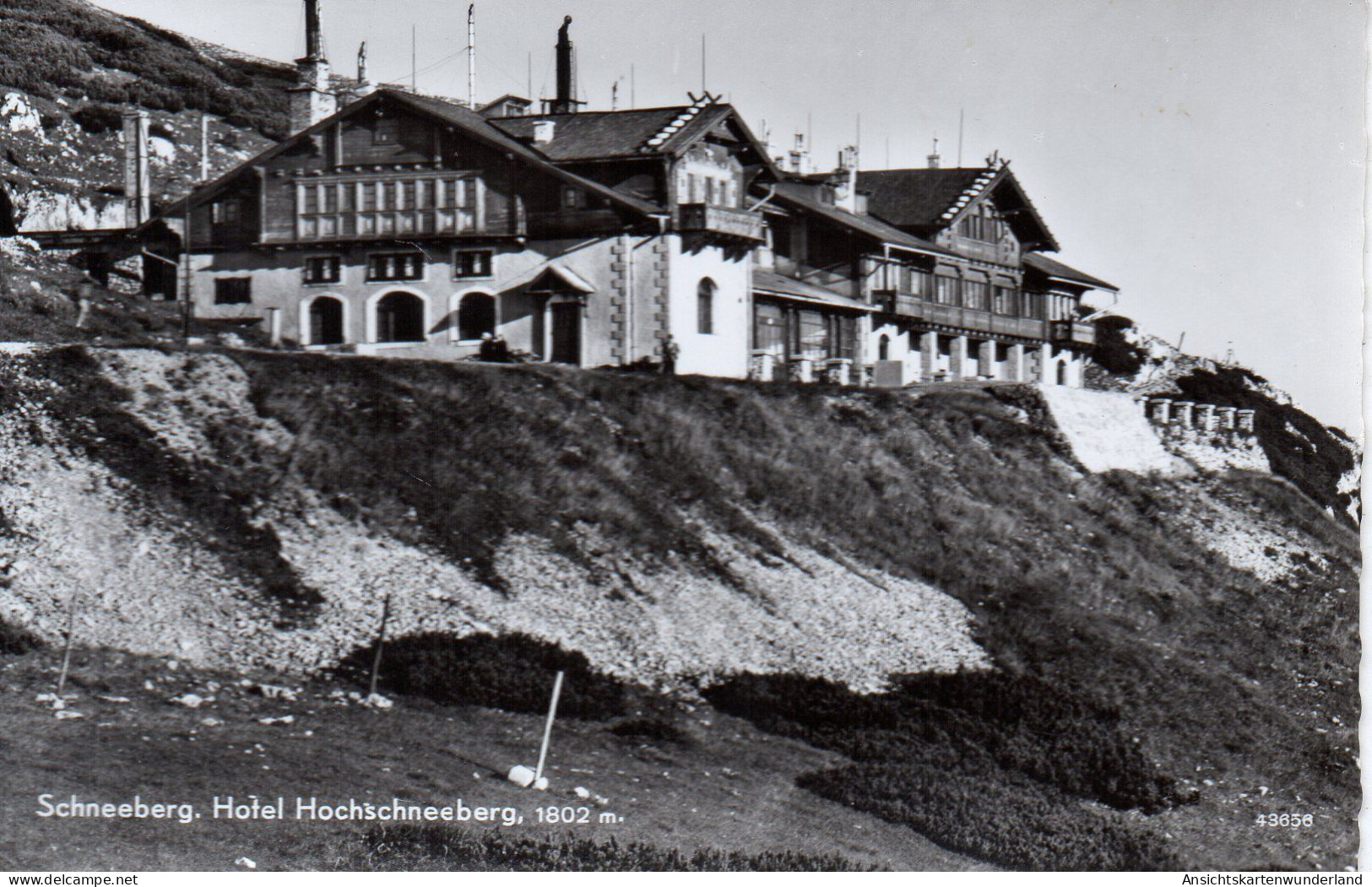 Schneeberg - Hotel Hochschneeberg 1964 (12589) - Schneeberggebiet