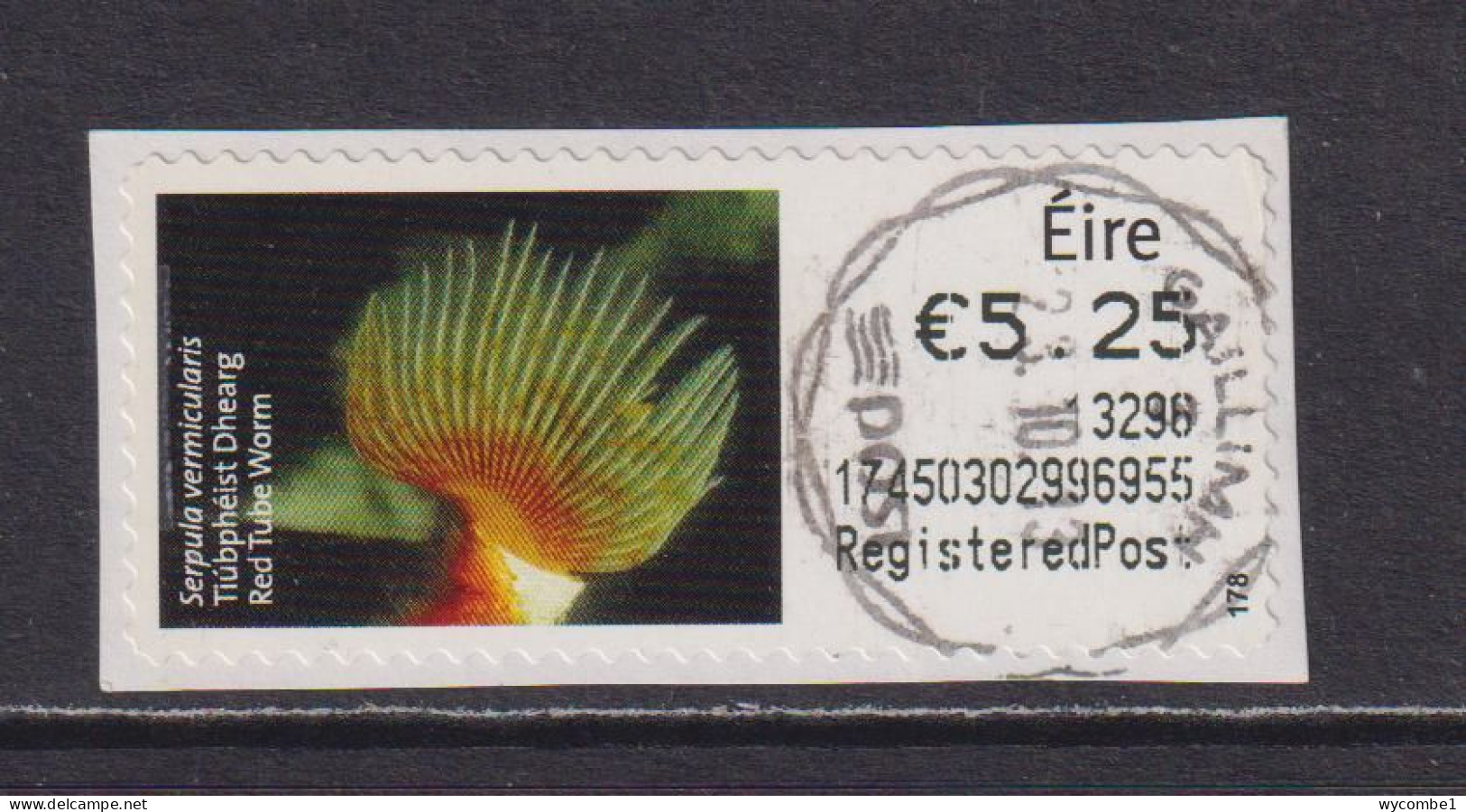 IRELAND  -  2013 Red Tube Worm SOAR (Stamp On A Roll)  CDS  Used On Piece As Scan - Oblitérés