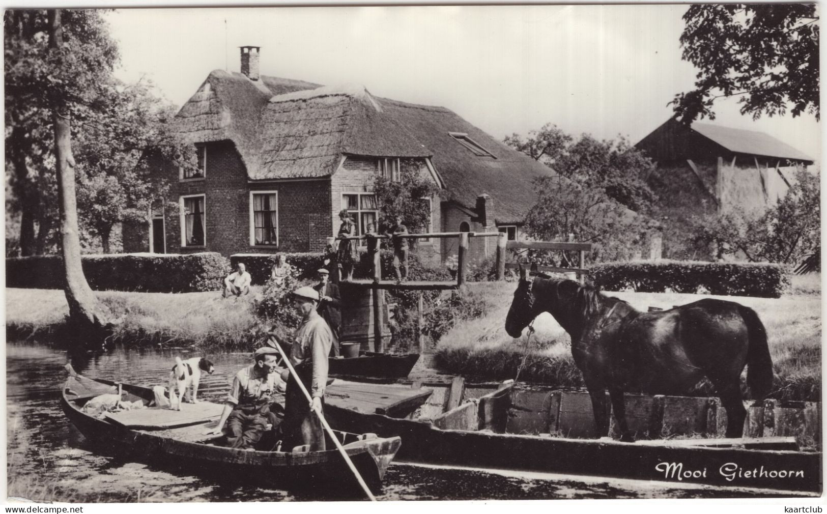 Mooi Giethoorn - (Overijssel, Nederland) -  Punter, Paard, Hond, Boer, Jeugd - Giethoorn