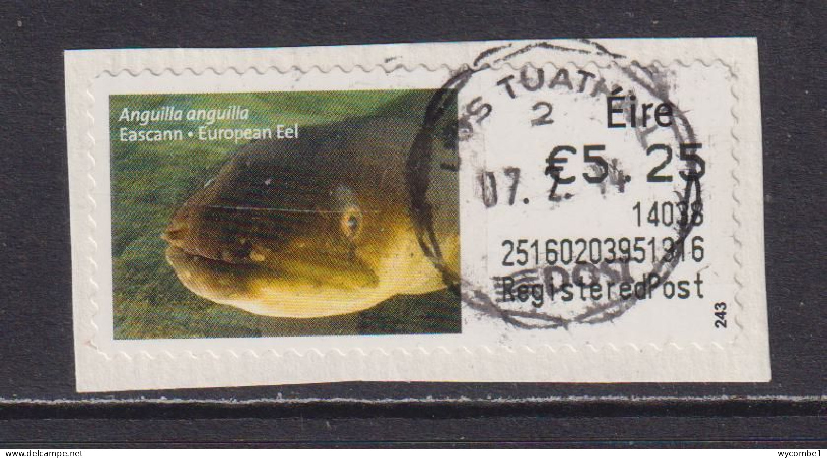 IRELAND  -  2013 European Eel SOAR (Stamp On A Roll)  CDS  Used On Piece As Scan - Oblitérés