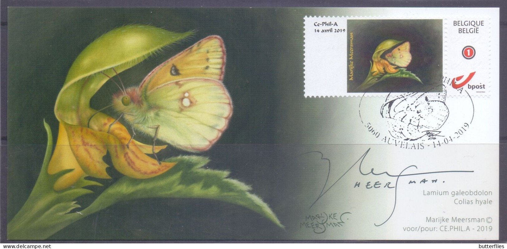 Belgie - 2019 -** Max. Kaart - Auvelais -14 - 4 - 2019 - Gele Luzerne Vlinder - Met Handtekening ** M.Meersman - 2011-..