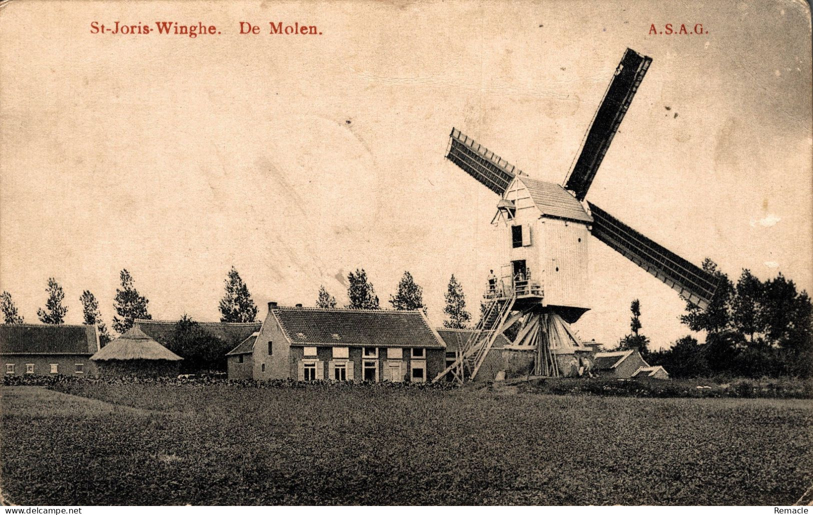 ST. JORIS-WINGHE  DE Molen - Tielt-Winge