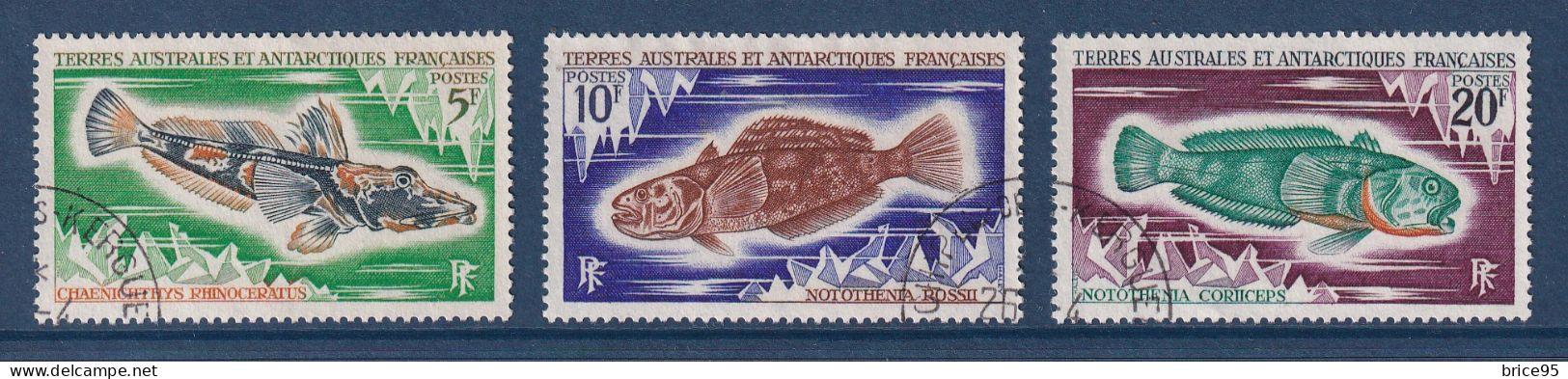 TAAF - Terres Australes Et Antarctiques Françaises - YT N° 34 à 36 - Oblitéré - 1971 - Used Stamps