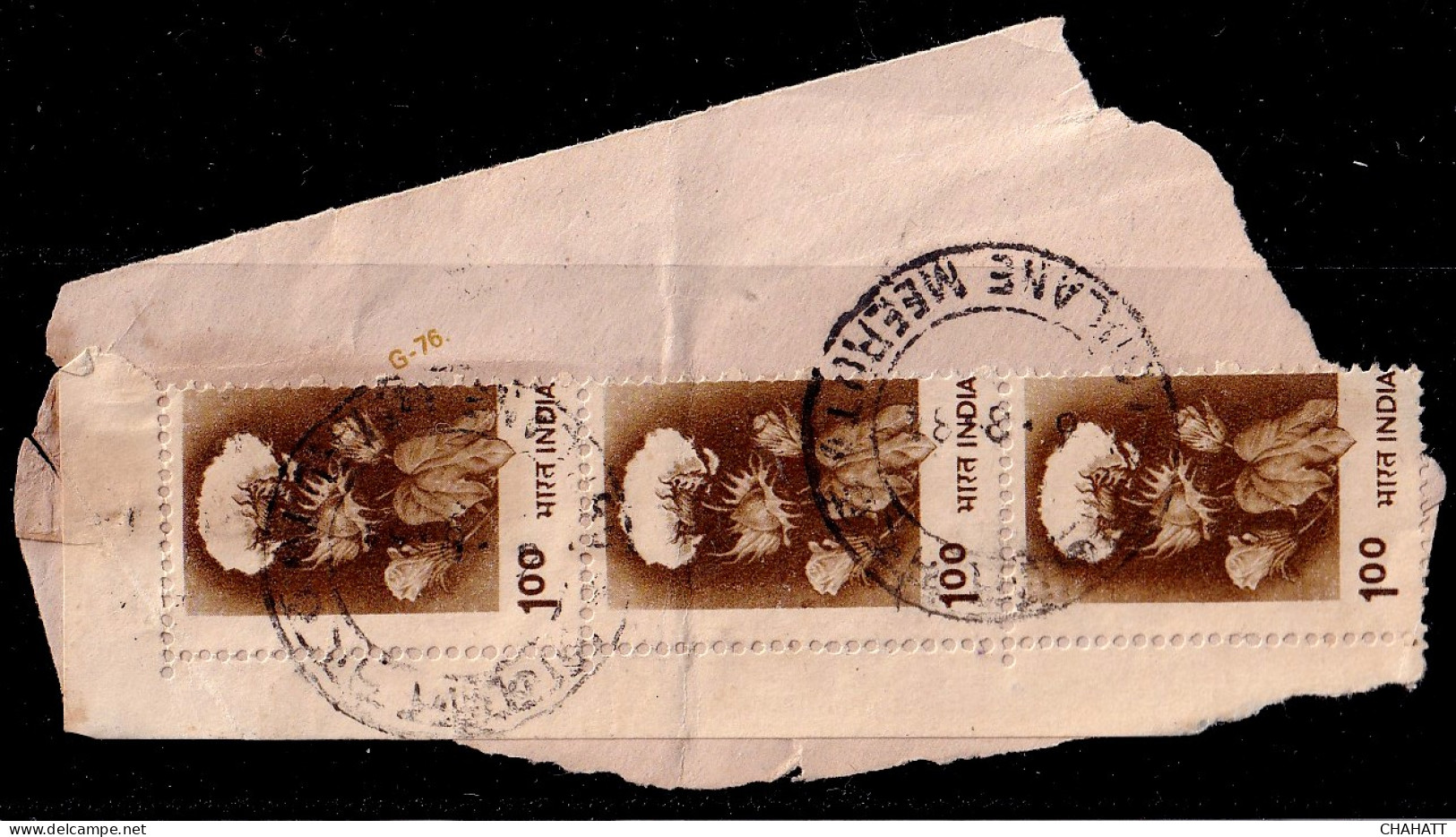 INDIA-AGRICULTURE- COTTON FLOWERS- MARGINAL STRIP ON PAPER-100P- ERROR- FRAME SHIFTING -FU- H2-26 - Agriculture