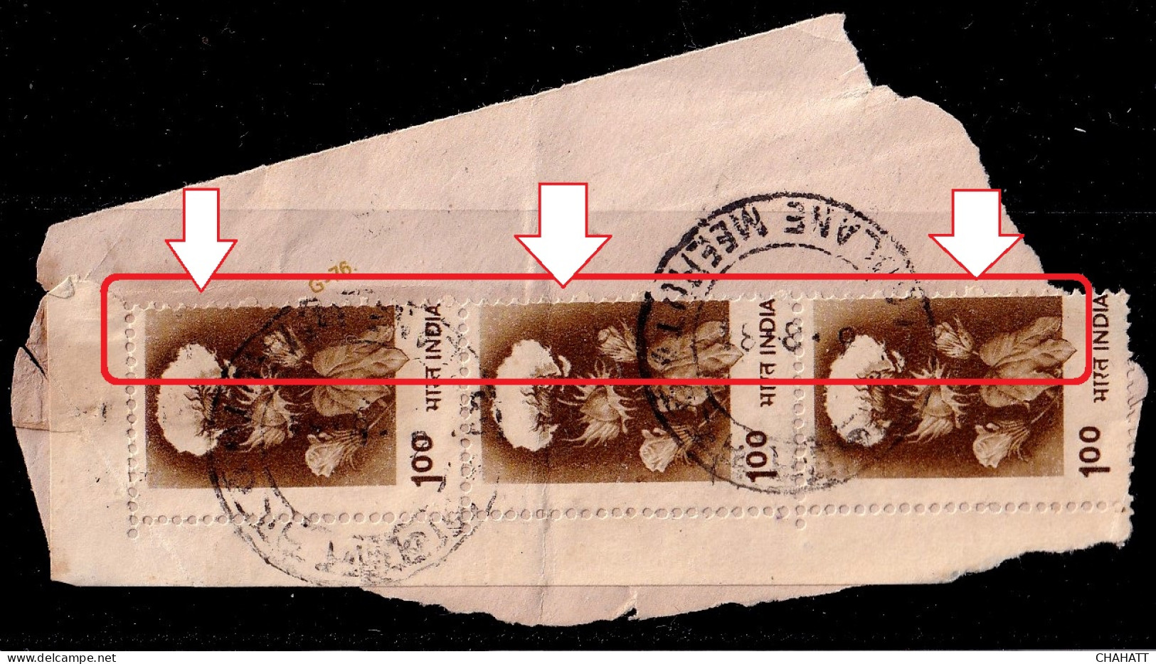 INDIA-AGRICULTURE- COTTON FLOWERS- MARGINAL STRIP ON PAPER-100P- ERROR- FRAME SHIFTING -FU- H2-26 - Agriculture