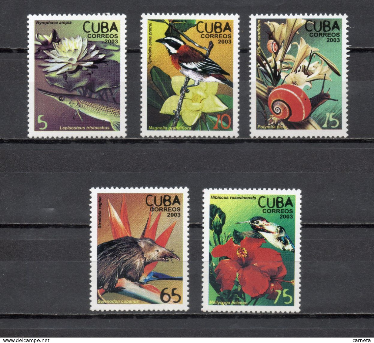 CUBA  N° 4085 à 4089   NEUFS SANS CHARNIERE   COTE 6.00€     OISEAUX INSECTE ANIMAUX FAUNE   VOIR DESCRIPTION - Oblitérés