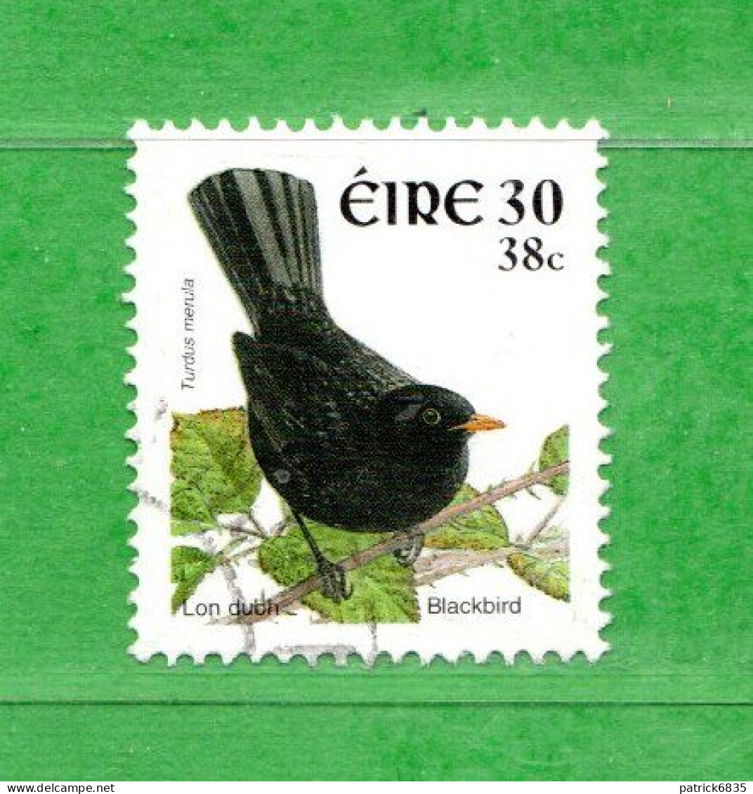 (Us6) Irlanda - Eire ° - 2001 - OISEAUX - TURDUS Merula. Yv. 1360. D. 11 X 11-1/2.Oblitérer. - Gebraucht