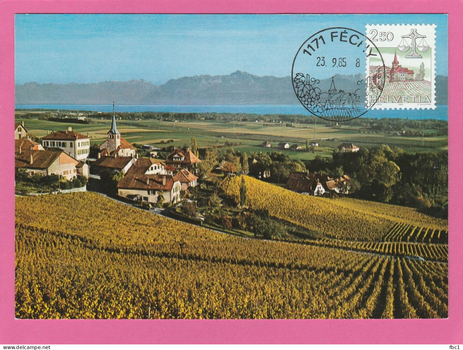 Suisse - Canton De Vaud - Carte Maximum Féchy - 1985 - Vigne - Féchy