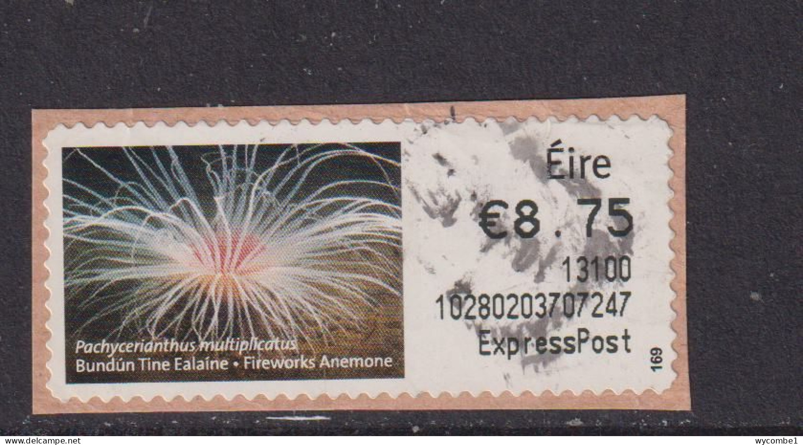 IRELAND  -  2012 Fireworks Anemone SOAR (Stamp On A Roll)  CDS  Used On Piece As Scan - Used Stamps