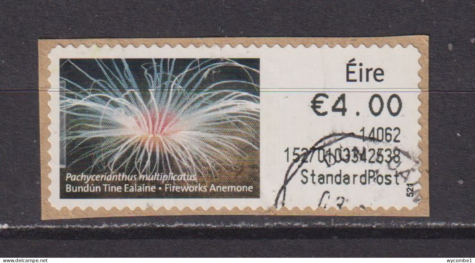 IRELAND  -  2012 Fireworks Anemone SOAR (Stamp On A Roll)  CDS  Used On Piece As Scan - Oblitérés