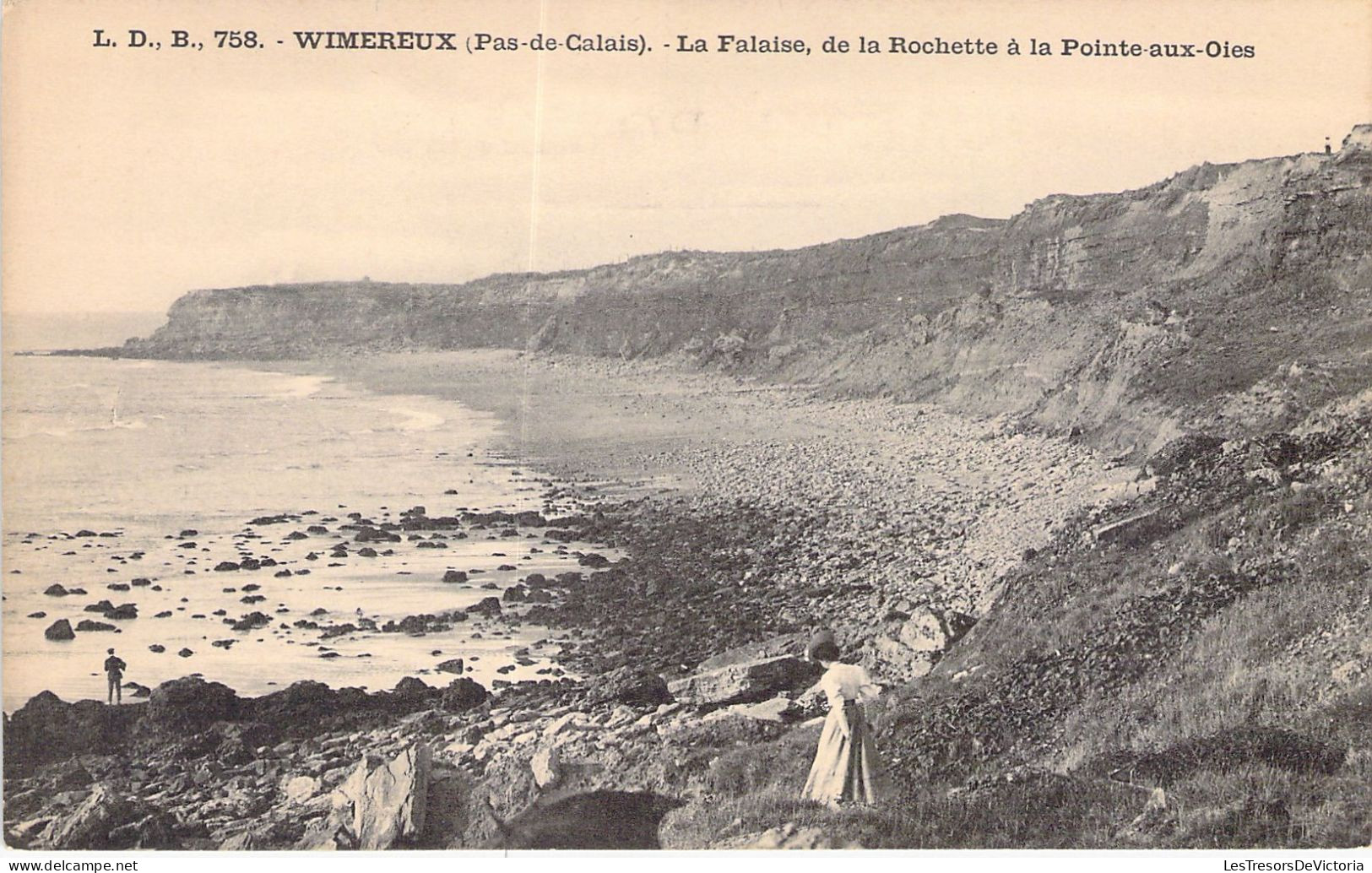 FRANCE - 62 - WINEREUX - La Falaise De La Rochette à La Pointe Aux Oies - Carte Postale Animée - Otros & Sin Clasificación