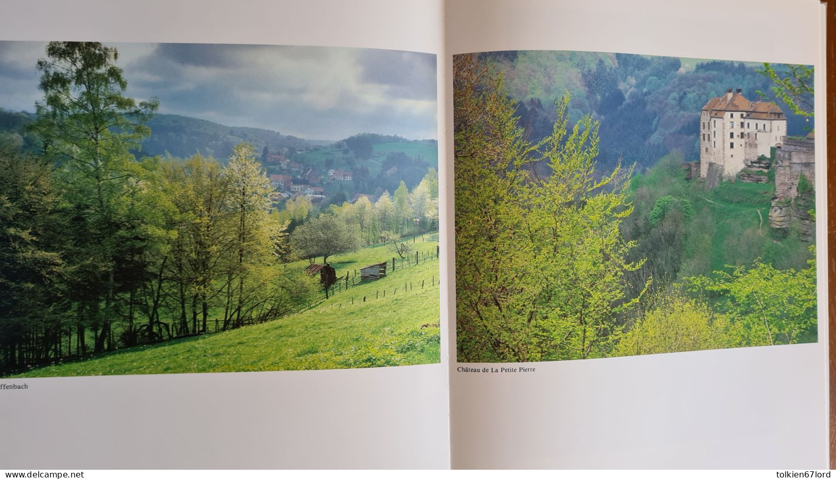 L'ALSACE BOSSUE EN IMAGES Yvon Meyer Diemeringen Voellerdingen Sarre-Union Harskirchen Berg Domfessel Tieffenbach Etc. - Alsace