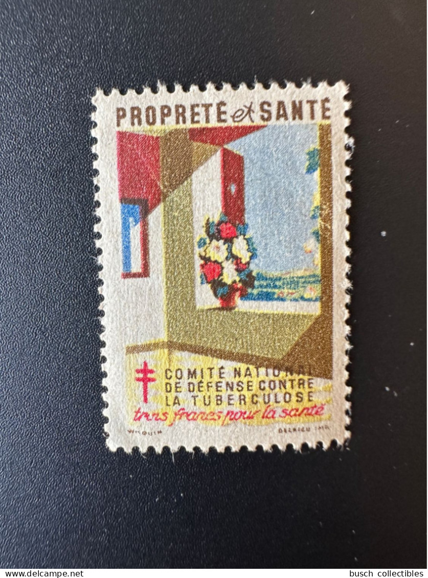 France 1946 Antituberculeux Tuberculose Tuberculosis Tuberkulose Trois Francs Pour La Santé Propreté Et Santé - Antituberculeux