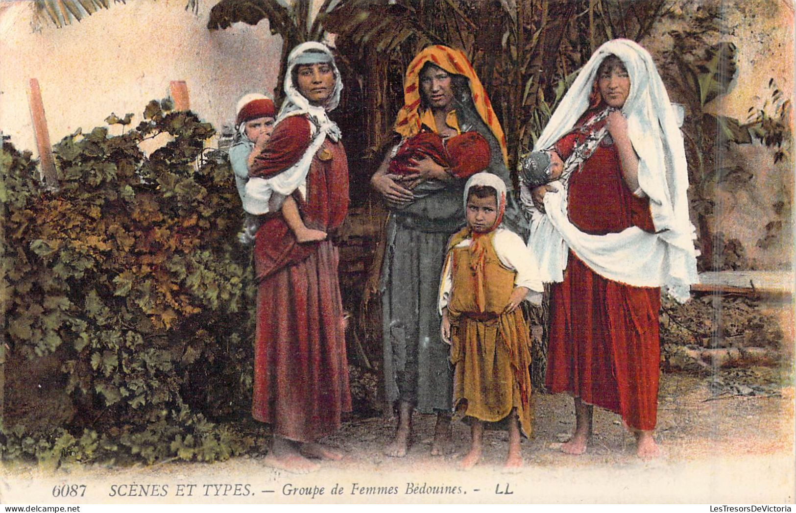 ALGERIE - Scènes Et Types - Groupe De Femmes Bédouines  - Carte Postale Ancienne - Szenen