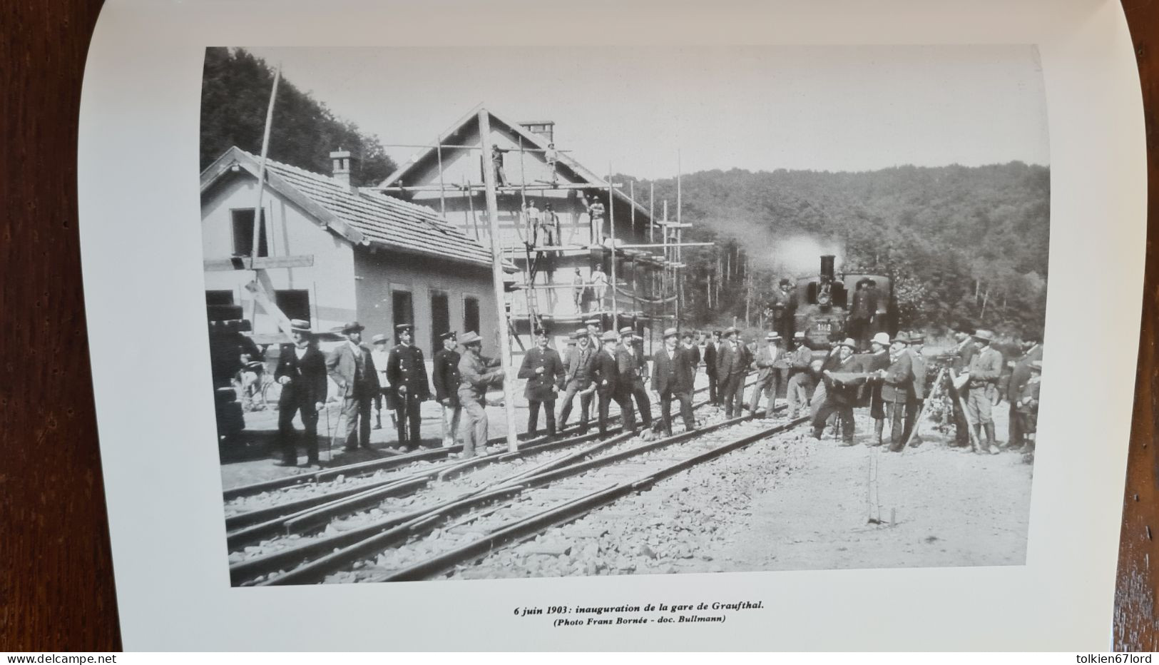 ESELBAHN ALSACE BOSSUE Lutzelbourg Phalsbourg Vilsberg Berling Graufthal Bust Siewiller Drulingen Maisons Rouges Train - Alsace