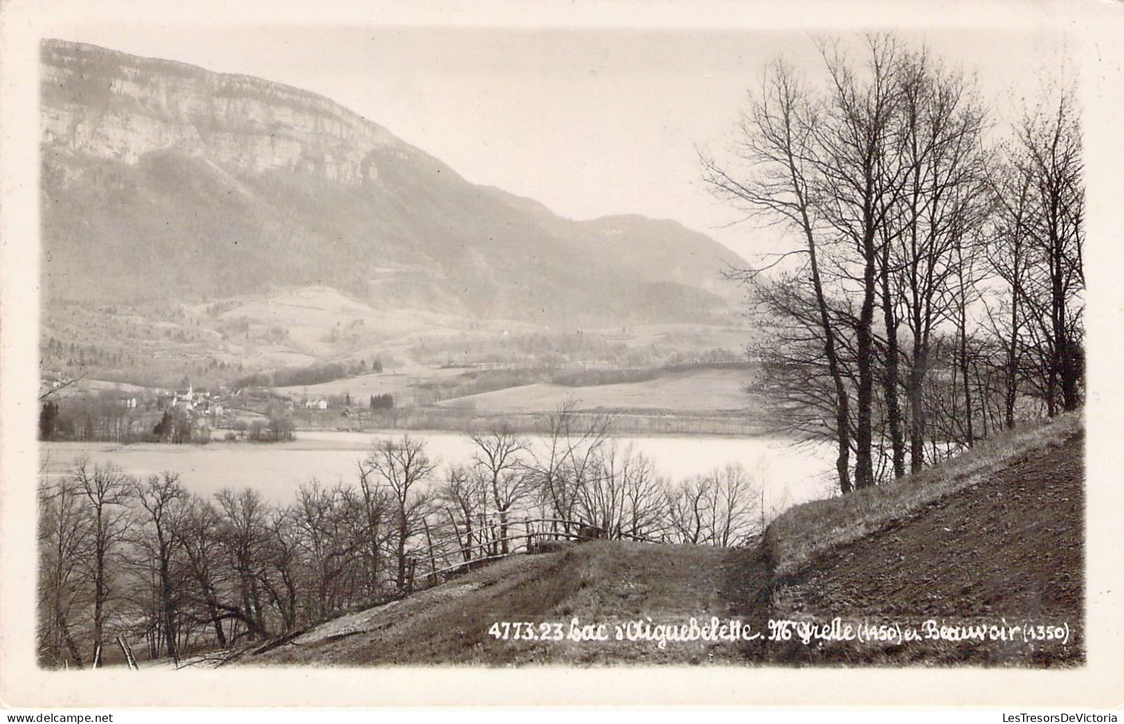 FRANCE - 73 - LAC D'origuebelette - Carte Postale Animée - Autres & Non Classés