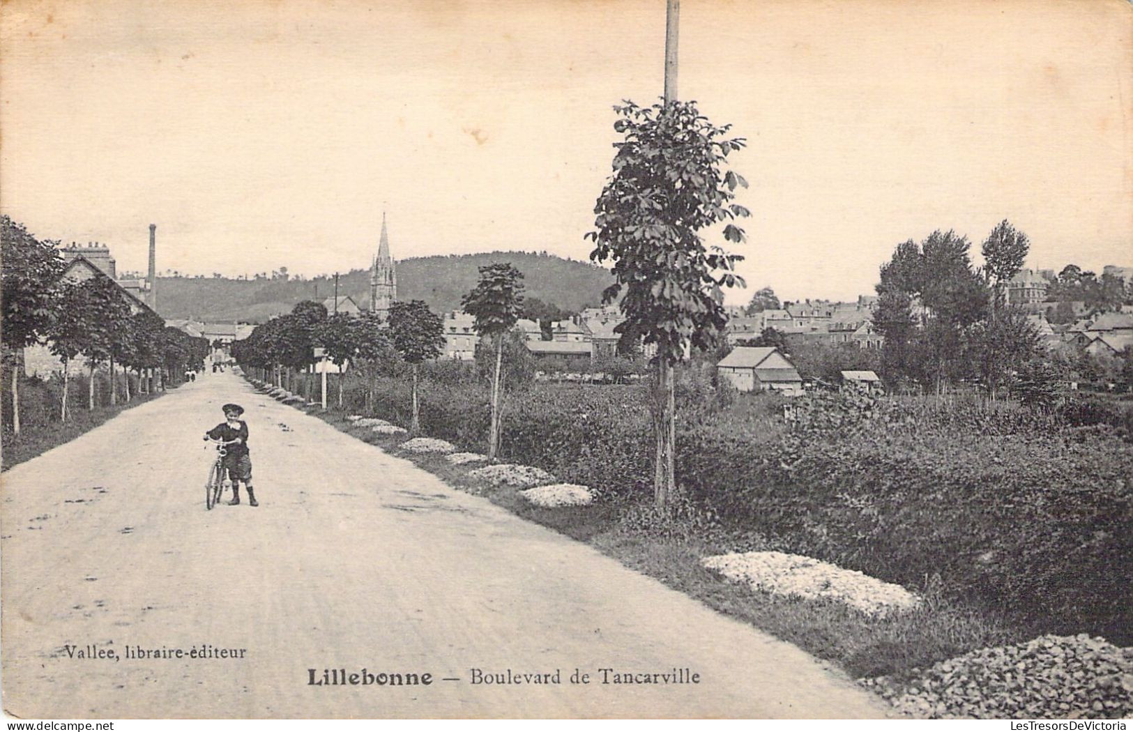 FRANCE - 76 - LILLEBONNE - Boulevard De Tancarville - Editeur Vallée Libraire - Carte Postale Animée - Lillebonne