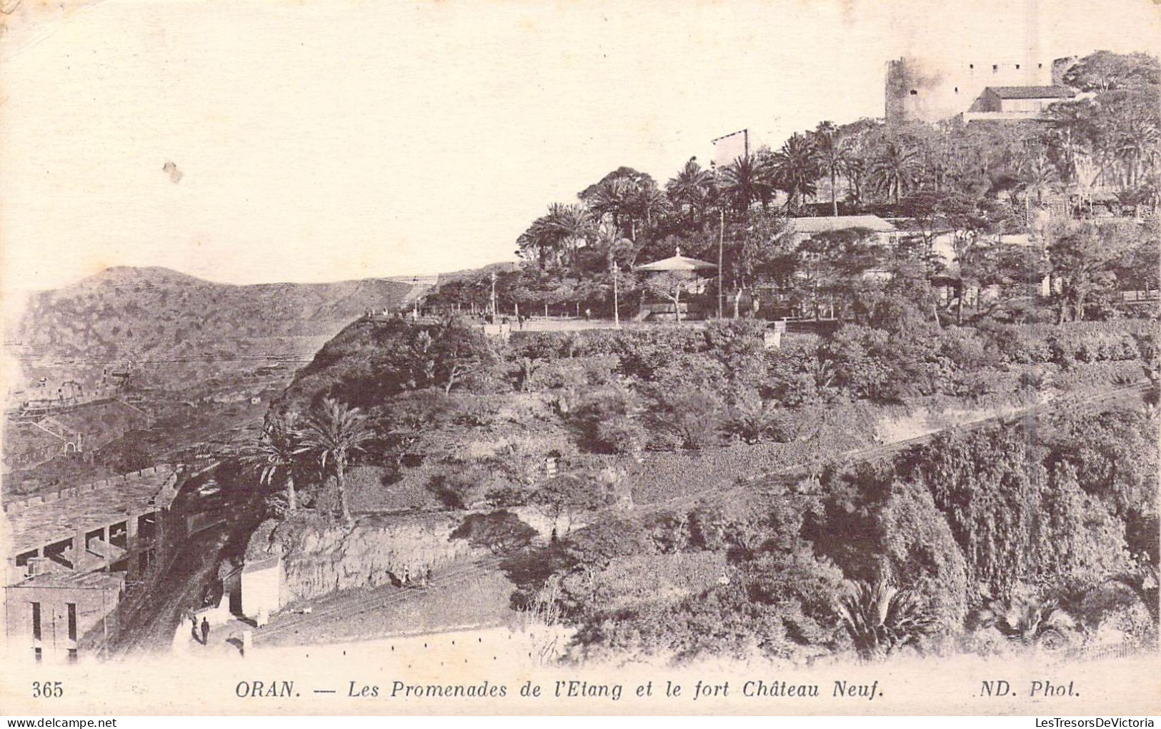 ALGERIE - Oran - Les Promenades De L'Etang Et Le Fort Château Neuf - Carte Postale Ancienne - Oran