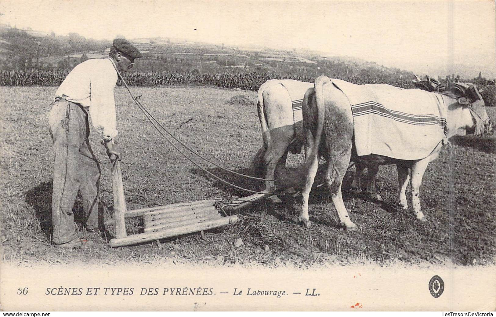 METIERS - Paysans - Scènes Et Types Des Pyrénées - Le Labourage - Carte Postale Ancienne - Campesinos