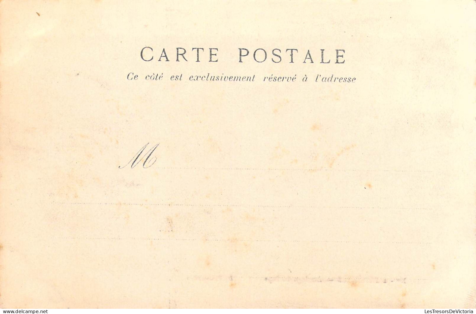 FOLKLORE - Pyrénées - Attelage Du Pays - Edit : D.T. Lourdes - Carte Postale Ancienne - Autres & Non Classés