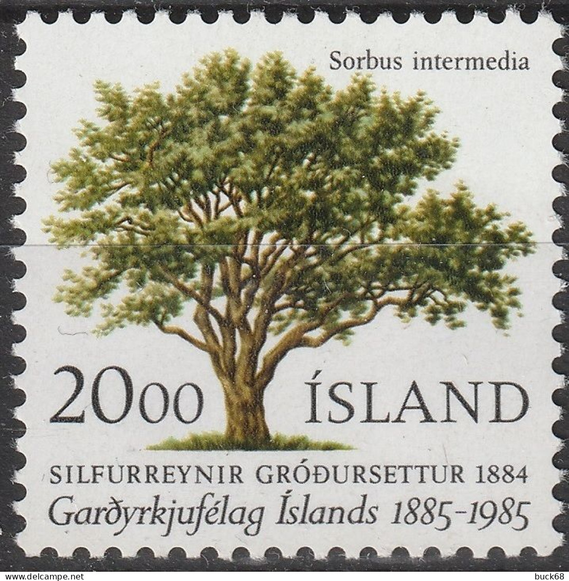 ISLANDE ICELAND 588 ** MNH Arbre Tree Baum 1985 - Neufs