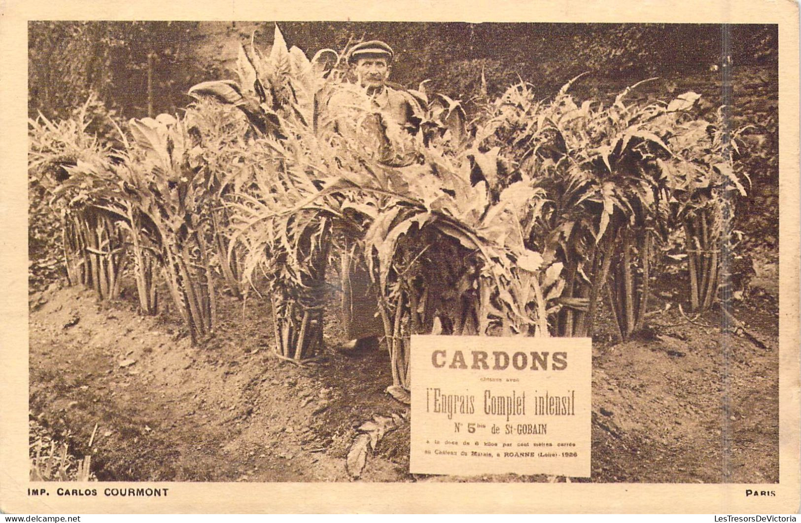 PUBLICITE - Cardons - L'Engrais Complet Intensif - N° 5bis De St-Gobain - Carte Postale Ancienne - Publicité