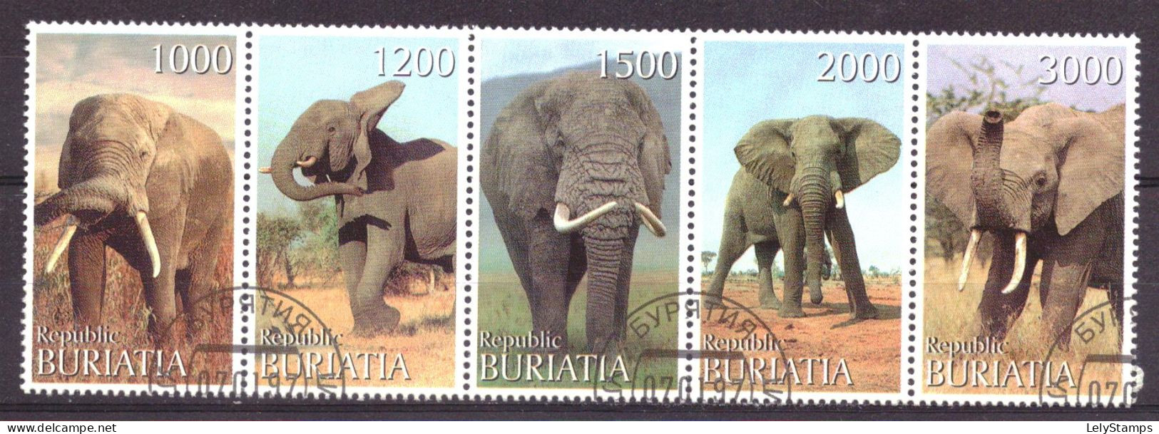 Buriatia - Siberia Local Post Vignette Animals Nature Elephant Used - Sibérie Et Extrême Orient