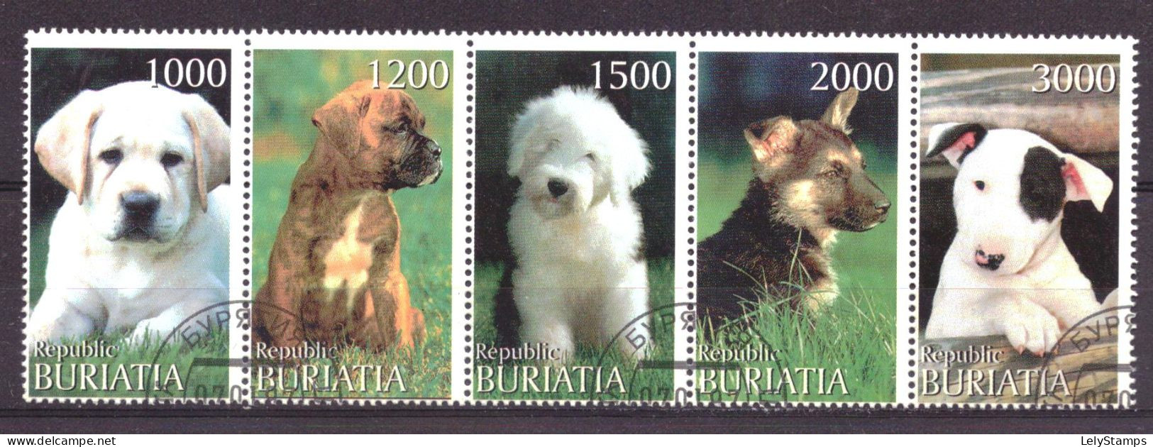 Buriatia - Siberia Local Post Vignette Animals Nature Dogs Used - Sibérie Et Extrême Orient