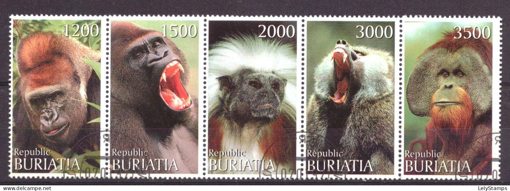 Buriatia - Siberia Local Post Vignette Animals Nature Apes Used - Sibérie Et Extrême Orient