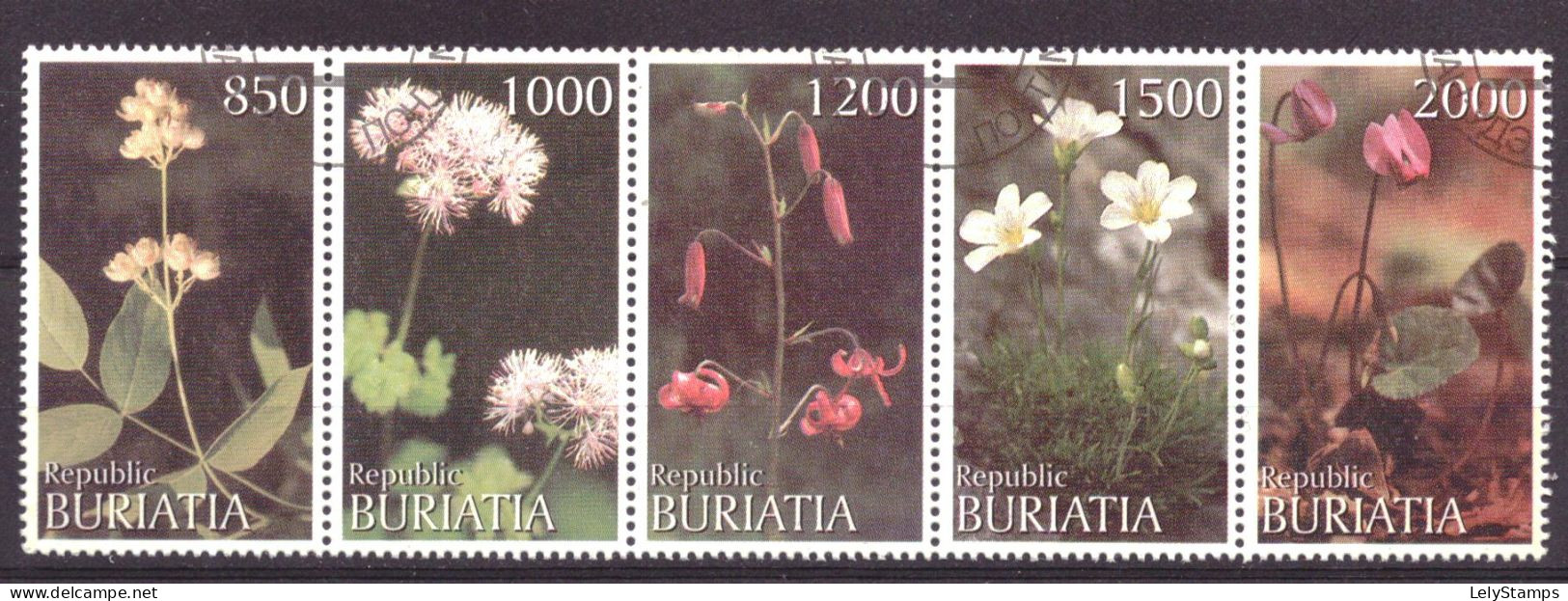 Buriatia - Siberia Local Post Vignette Nature Flowers Used - Siberia And Far East