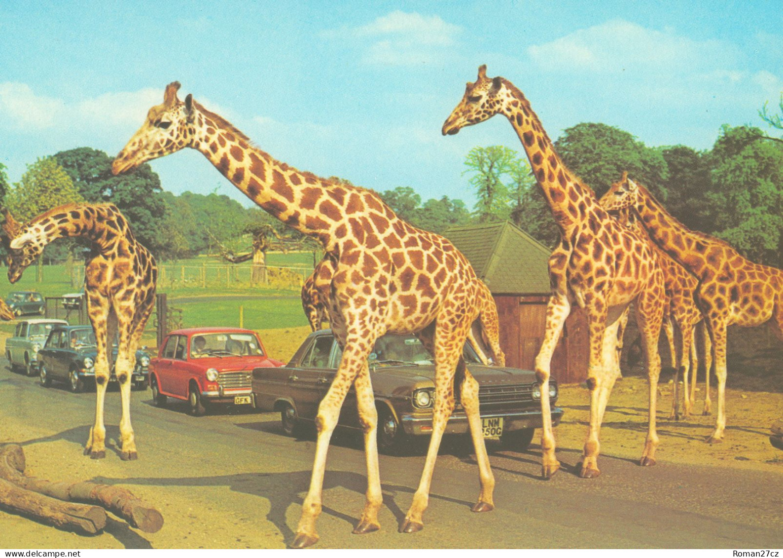 Woburn Safari Park, UK - Giraffe - Andere & Zonder Classificatie