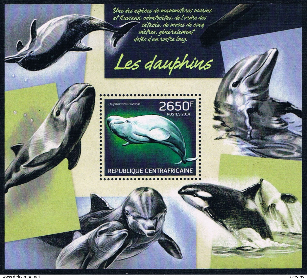 République Centrafricaine - Béluga (Delphinapterus Leucas) BF 651 (année 2014) ** - Dauphins