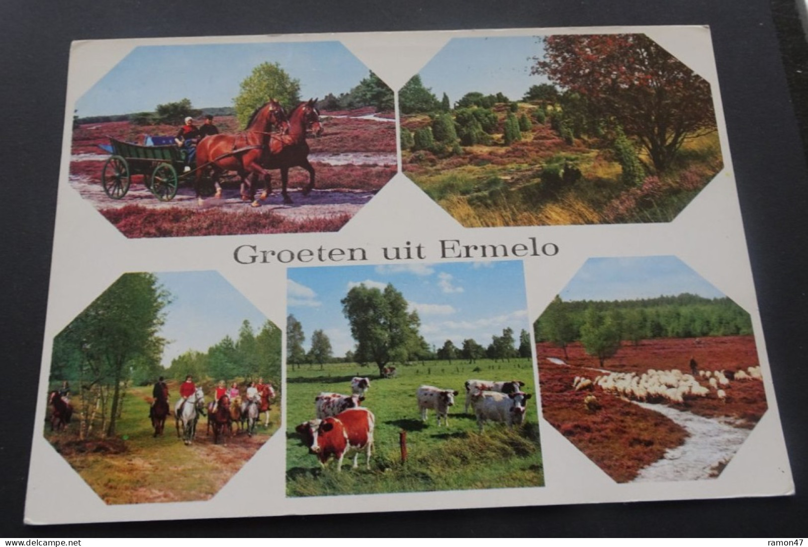 Groeten Uit Ermelo - Recreatiecentrum "Het Trefpunt", Ermelo - V. Leer's Fotodrukindustrie, Amsterdam - # L 1927 - Ermelo