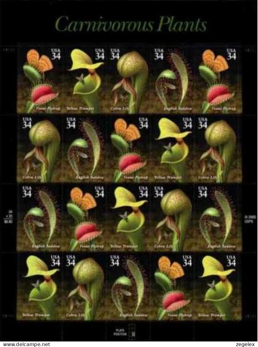 USA 2001 Carnivorous Plants - Sheet, Pane Of 20 Postfris MNH** Scott No. 3528-3531a - Fogli Completi