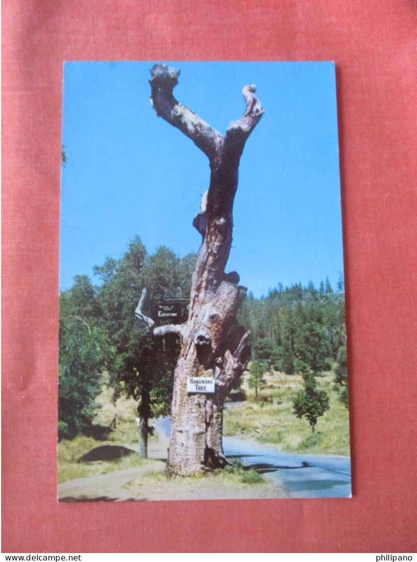 Hangman's Tree, Highway - 120 To Yosemite  Ref 6013 - Yosemite